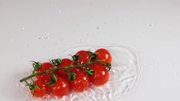 Branch of Cherry Tomatoes Falls Into the Water