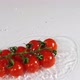 Branch of Cherry Tomatoes Falls Into the Water