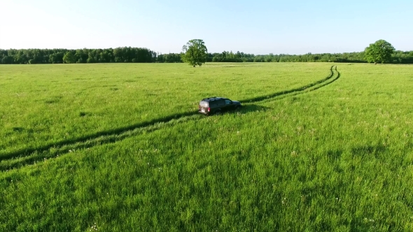 Aerial View Of Suv Car Moving On Road In Green Fields