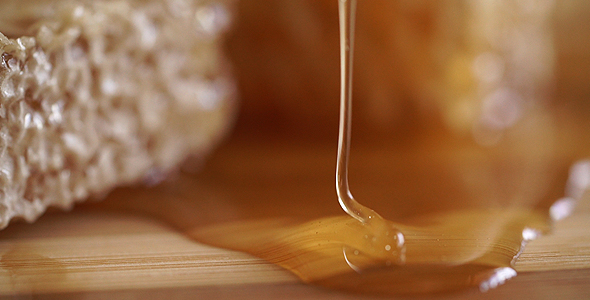 Honey And Wooden Dipper