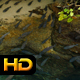 Fishes in Tropical Bay - VideoHive Item for Sale