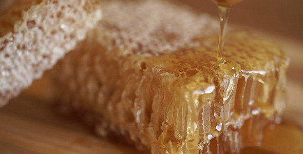 Dripping Honey Dipper alt