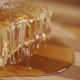 Dripping Honey - VideoHive Item for Sale