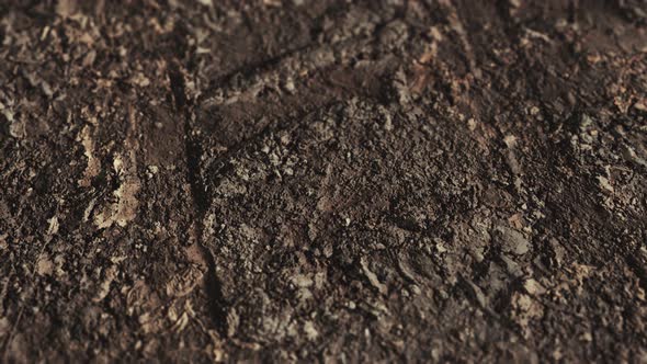 Wheel Tracks on Rough Road alt