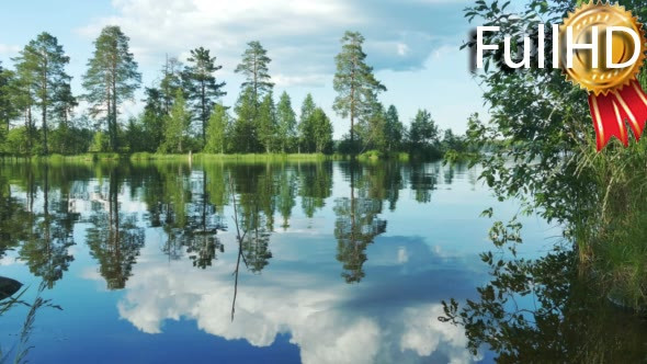 Beautiful Lake Landscape With Forest on the Bank
