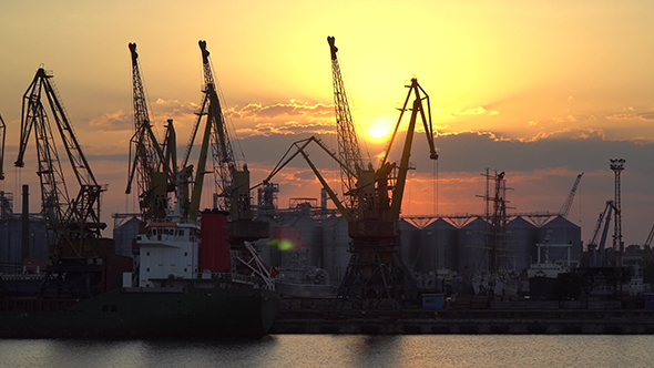 Cranes in the Port Against the Evening Sun