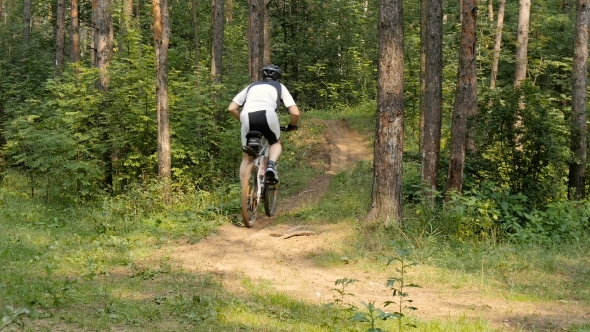 Cyclist Rides Through The Forest