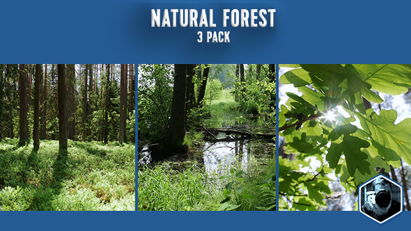 Natural Forest 3-pack