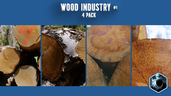 Wood Industry 1