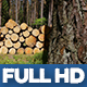 Wood Industry 2 - VideoHive Item for Sale