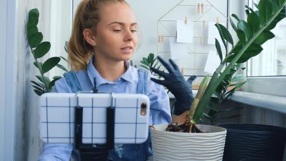 Gardener Woman Blogger Using Phone While Transplants Indoor Plants and Use a Shovel on Table alt