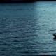 Silhouette Of People Kayaking In Sunset - VideoHive Item for Sale