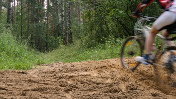 Cyclist Rides Through The Forest alt