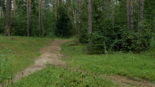 Cyclist Rides Through The Forest