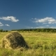 Hay Harvesting Stack Hay Farmers Are Preparing To Float On Clouds Field - VideoHive Item for Sale