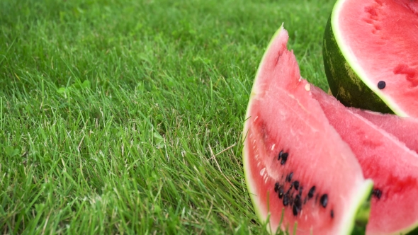 Sliced Watermelon On Grass