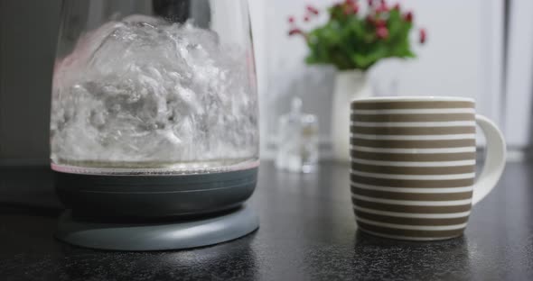 Boiling Water in an Electric Kettle alt