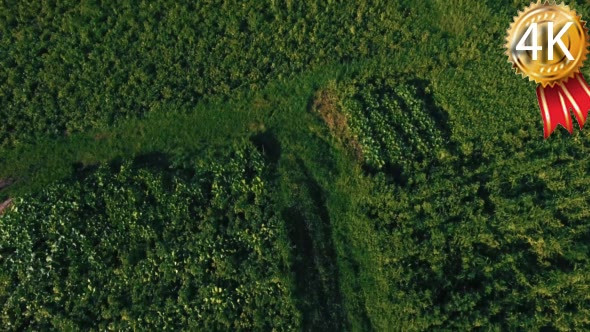 Camera Flight Over Village in Urban Landscape.