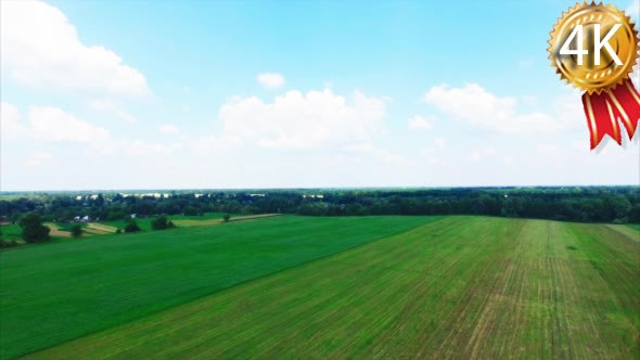 Flight Over a Large Green Field in the Village