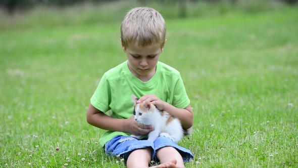 Boy Playing With Kitten