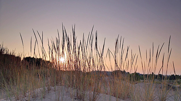 Sunset Over the Sandy Beach