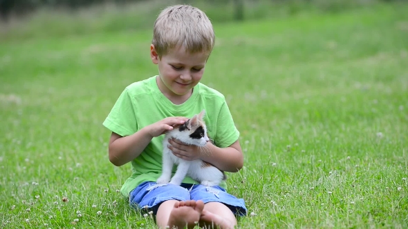 Boy Playing With Kitten