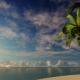 Sunset Tropical Ocean - VideoHive Item for Sale