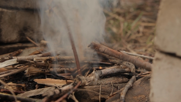 Flames Of Wood Ember With Small Twigs. alt