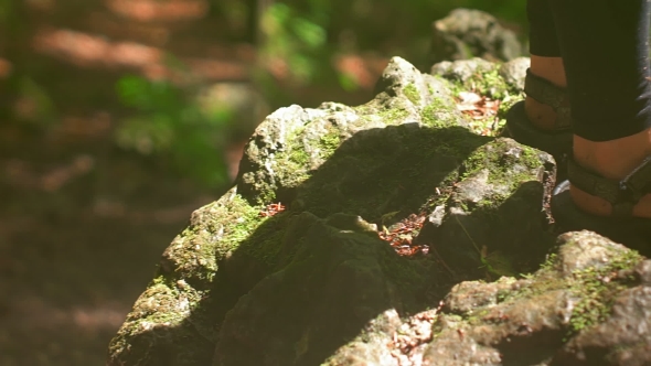 Traveler Standing On The Spotlight In The Woods alt