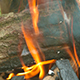 Bonfire - VideoHive Item for Sale