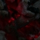 Hot Coals - VideoHive Item for Sale