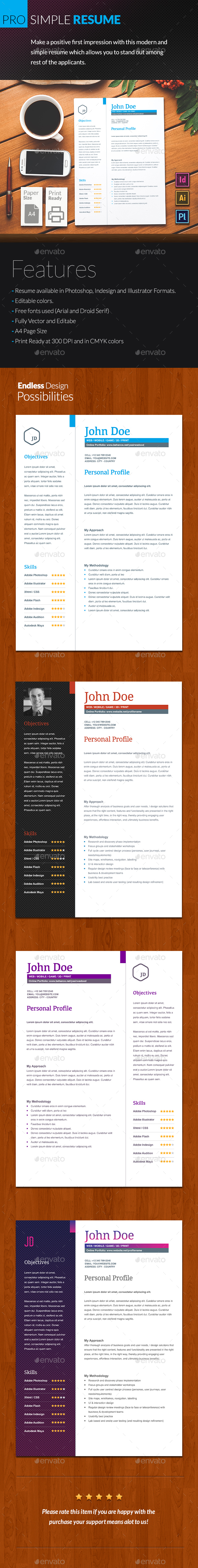 Pro Simple Resume 2 Piece