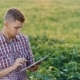 Young Farmer Working In The Field To The Plate. View From Above - VideoHive Item for Sale