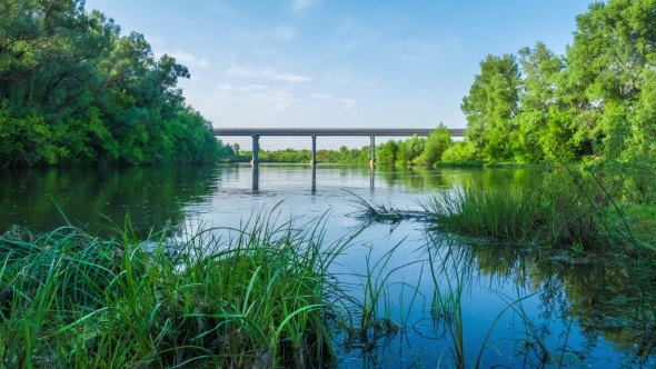 The River Flows Under The Bridge a Sunny Summer Day Nature Tour 