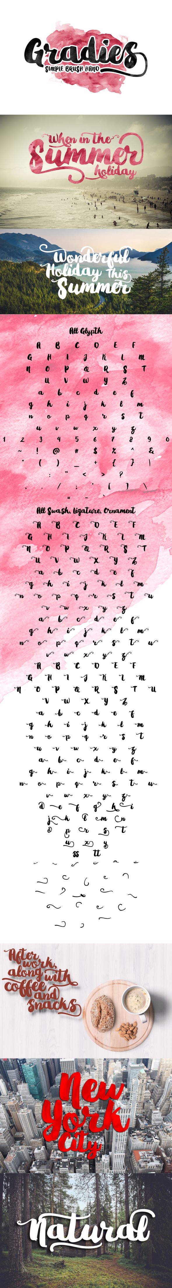 Gradies Brush - Script Fonts