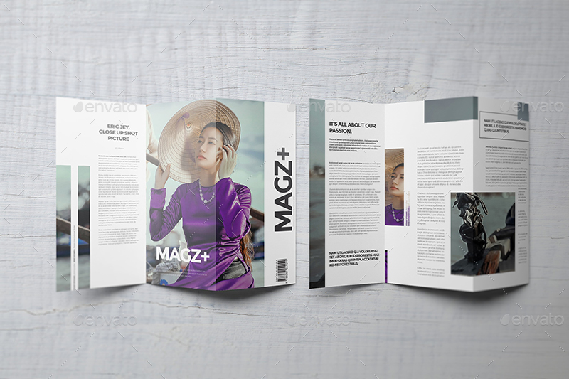 z fold brochure