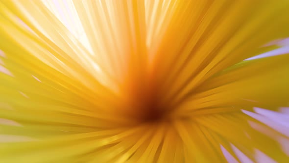 Top View of a Spaghetti Macro Shot Close Up Rotating alt