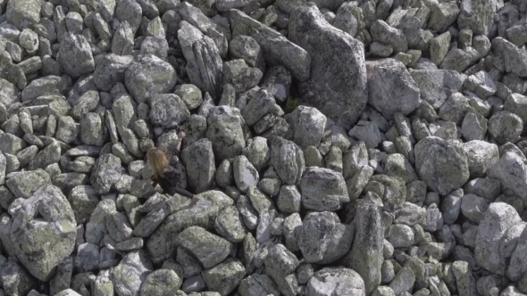 Girl Does Yoga On The Rocks