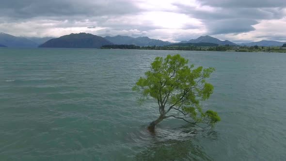 Aerial View of Lake Wanaka and Lone Tree, Landmark of Wanaka, New Zealand alt