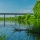 Green Trees Forest At The River Bridge Cars Motion  - VideoHive Item for Sale