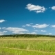 Clouds Moving Over The Fields - VideoHive Item for Sale