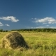 Hay Harvesting Stack Hay - VideoHive Item for Sale
