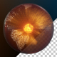 Earth Core - VideoHive Item for Sale