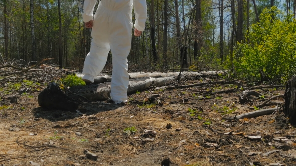 The Man Walking Through The Sawn Trees In The Wood alt