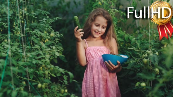 Curly Girl in a Pink Dress Harvested Cucumbers