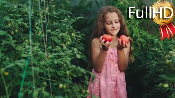 Curly Girl in a Pink Dress Picks Tomatoes