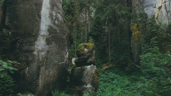 Adršpach-Teplice Rocks national park filmed from drone. Green forest with rocks like background