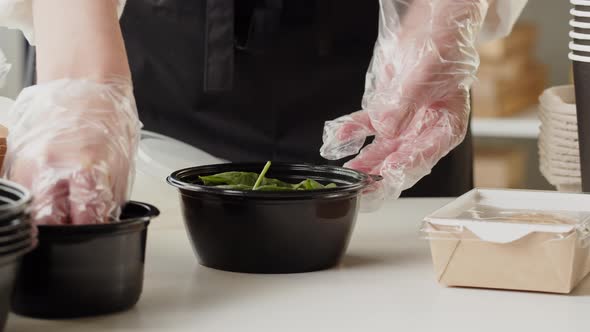 Food Delivery Service alt