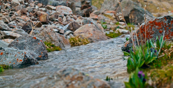 Mountain River 9 alt