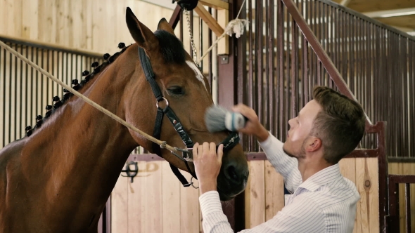 Young Boy Cleans a Horse In a Stall alt